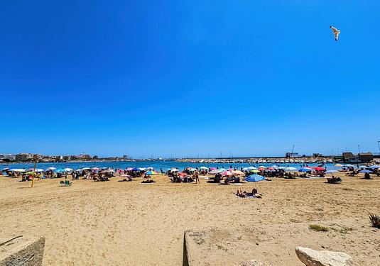 Apartment in Torrevieja