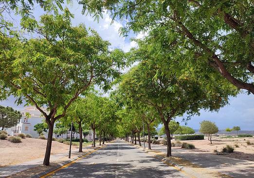 Apartment in Hacienda Riquelme Golf Resort