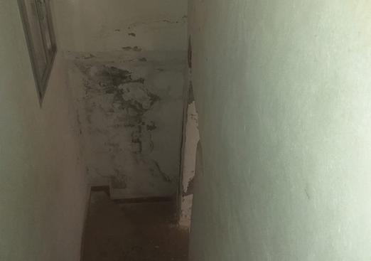 Country house in Barinas