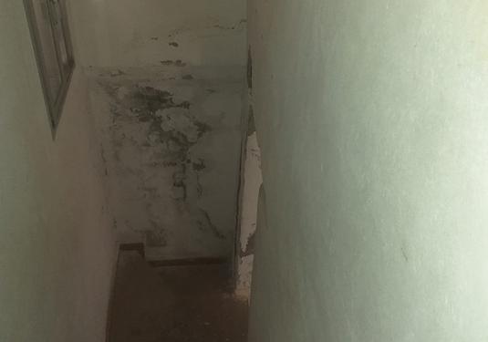 Country house in Barinas