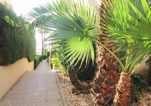 Apartment in Torrevieja