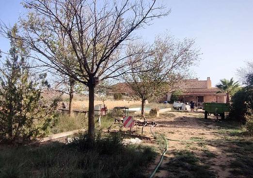 Country house in Pinoso