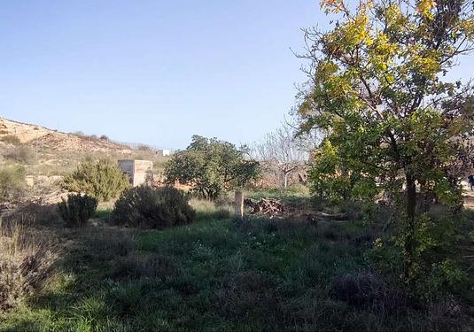 Country house in Pinoso