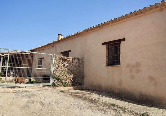 Country house in Pinoso