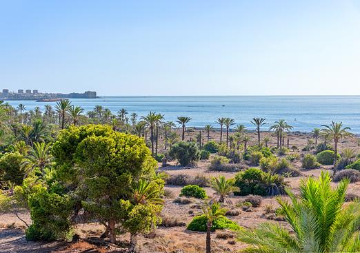 Apartment in Orihuela Costa