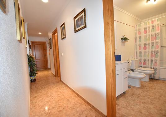 Apartment in La Mata