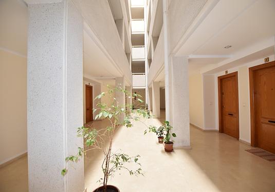 Apartment in La Mata