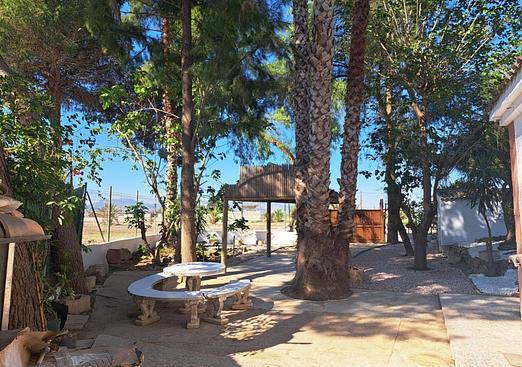 Finca in Orihuela