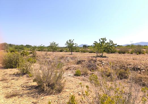 Country house in Villena
