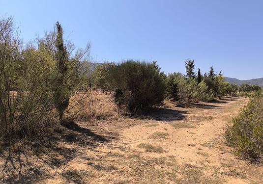 Country house in Villena