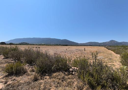 Country house in Villena