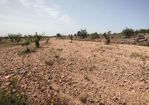 Country house in Pinoso