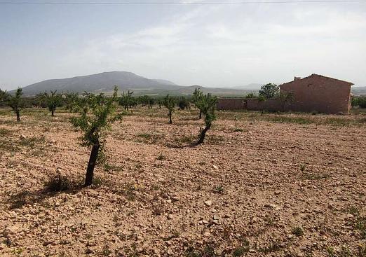 Country house in Pinoso