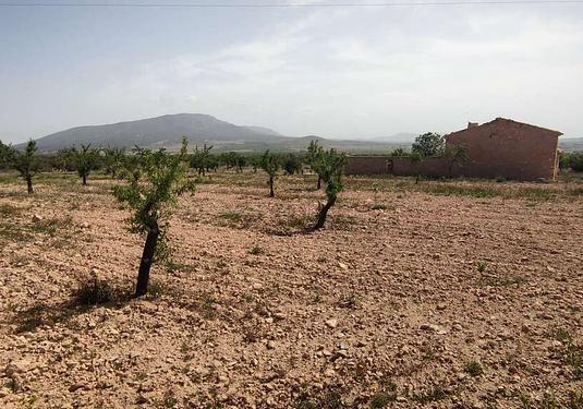 Country house in Pinoso