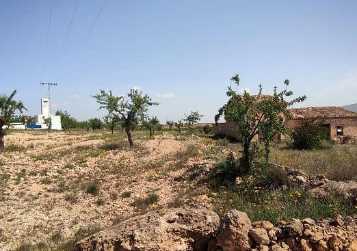 Country house in Pinoso