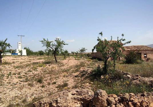 Country house in Pinoso