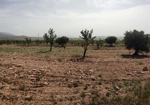 Country house in Pinoso