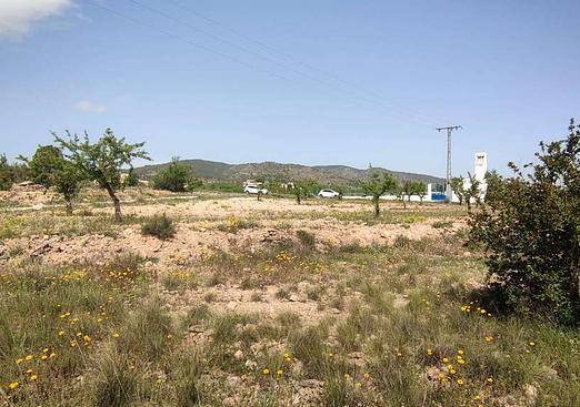 Country house in Pinoso