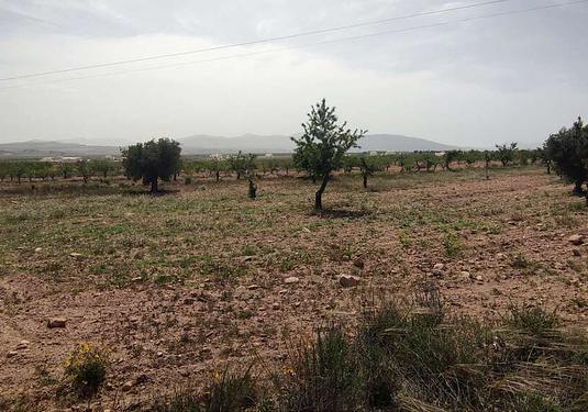 Country house in Pinoso