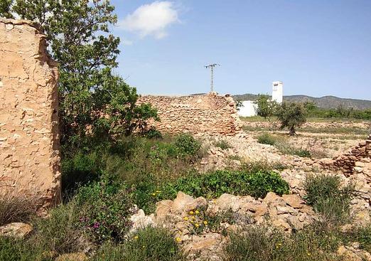 Country house in Pinoso