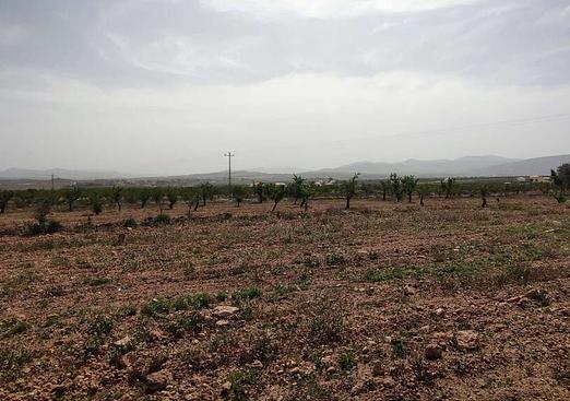 Country house in Pinoso