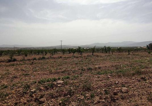 Country house in Pinoso