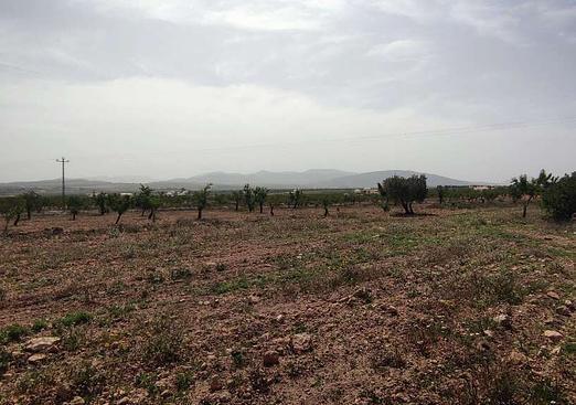 Country house in Pinoso