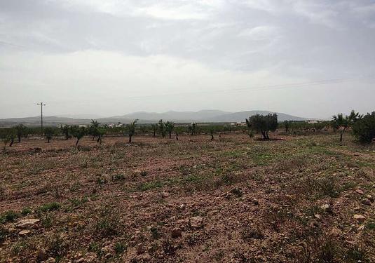 Country house in Pinoso