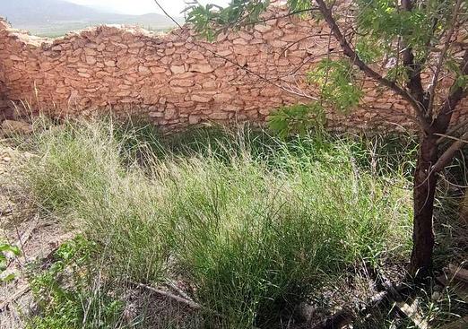 Country house in Pinoso