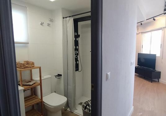 Penthouse penthouse in Torrevieja