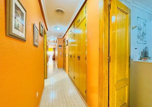 Apartment in La Mata