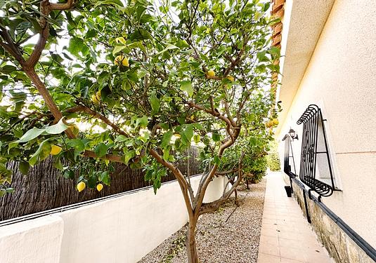 Villa in Lo Santiago