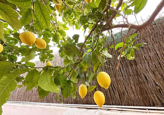 Villa in Lo Santiago