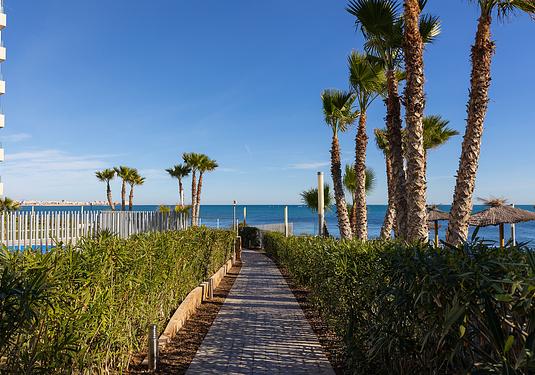 Apartment in Torrevieja