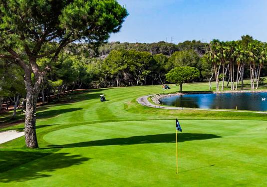 Apartment in Villamartin