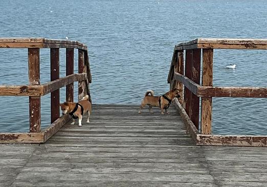 Town house in San Pedro del Pinatar