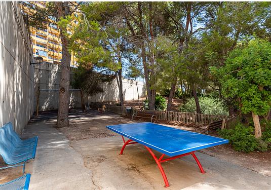 Apartment in Alicante