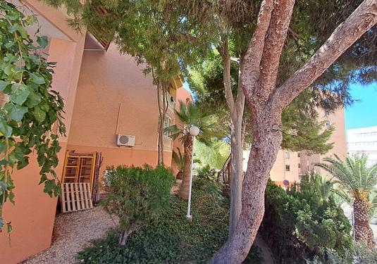 Apartment in Benidorm