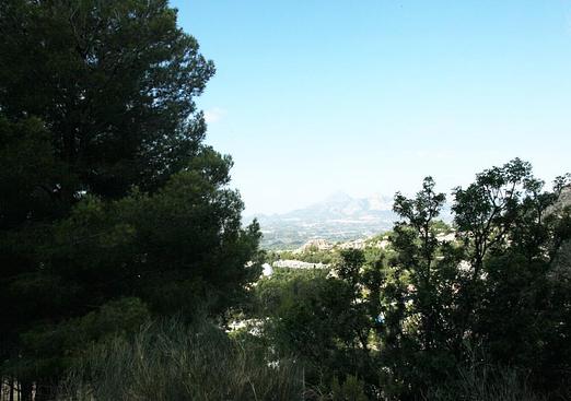 Land in Altea