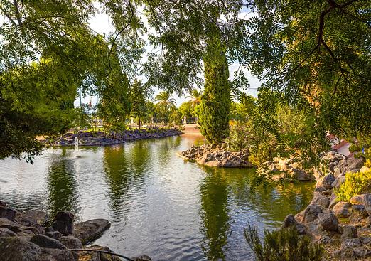Apartment in Torrevieja