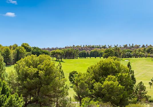 Apartment in Dehesa de Campoamor