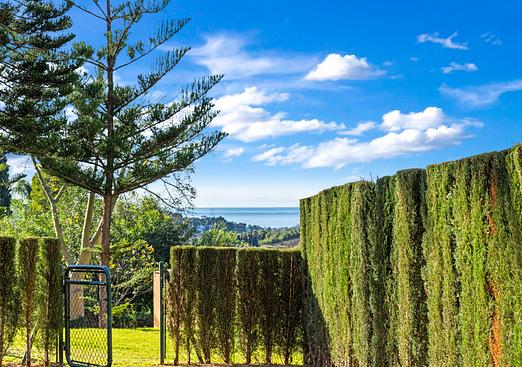 Property in Benahavís