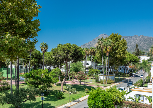 Property in Marbella