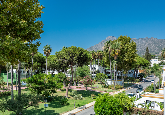 Property in Marbella