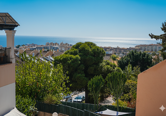 Property in Marbella