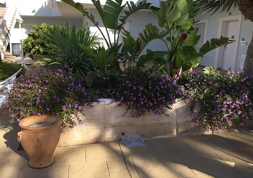 Apartment in Benissa