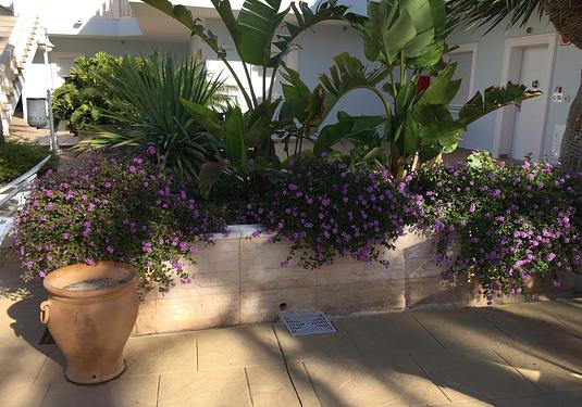 Apartment in Benissa