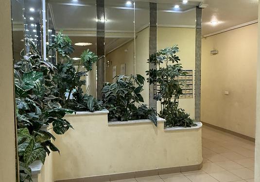 Apartment in Torrevieja