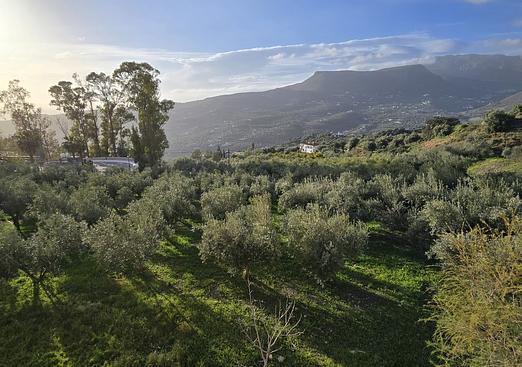 Town house in Alcaucín