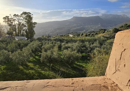 Town house in Alcaucín